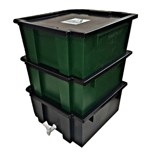 Worm Farm 3 Tier System For CC Participants